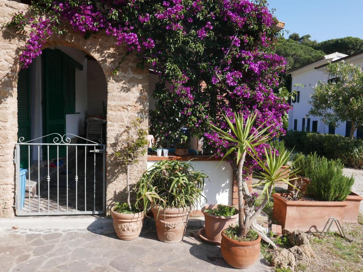 Residence Augusto Capoliveri  Exterior foto